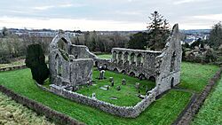 Roscommon Priory - aerial - 2024-12-27 01.jpg
