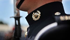 Royal Marine During Passing Out Parade MOD 45154046