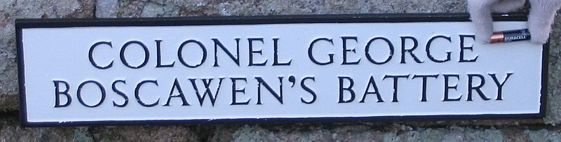 Scillies 2011 081 crop