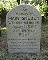 Sneden tombstone