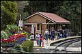 Spring Bluff railway station-1 (15132480078)