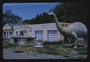 Bob's Museum Rock and Gift Shop, Bliss Idaho, 2004