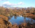 Tarn near Holme Ground - geograph.org.uk - 541575