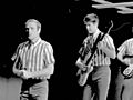 The Beach Boys TV (Mike and Brian)