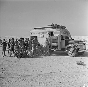 The British Army in North Africa 1942 E15079