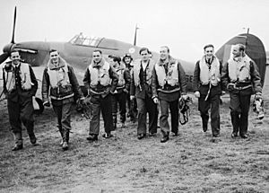 The Polish Air Force in the Battle of Britain CH1535