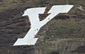 The Y