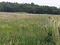 Tumulus near Manners Wood (geograph 3036637)