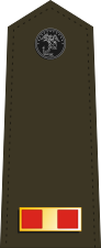 US Marine W-1 shoulderboard