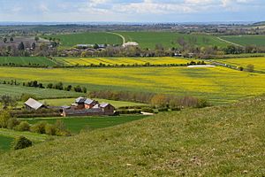 View above Cannings Cross Farm (geograph 4929397)