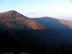 View from Skyline Drive near Hawksbill