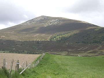 View to Ben Rinnes - geograph.org.uk - 1339405.jpg