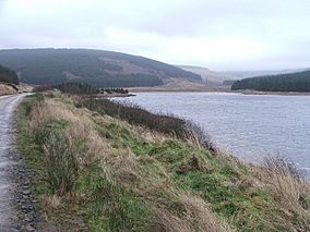 Western shore of Loch Lussa