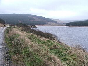 Western shore of Lussa Loch. - geograph.org.uk - 105354