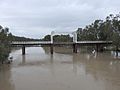 AU-NSW-North Bourke-Old North Bourke bridge southside-2021