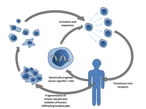 Adoptive T-cell therapy