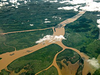 Aerial view of the Lower Paraná Delta, 2009-03-25.jpg