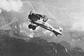 Albatros D III