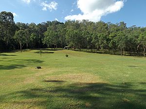 Andrew Drynan Park and Mount Chingee National Park at Running Creek, Queensland