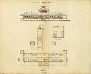 Architectural drawing of the Hospital, Cooktown, 3 March 1885