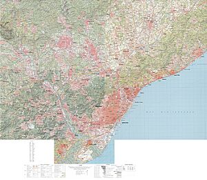 Area metropolitana Barcelona primera edicion digital MTN50 2004-2008