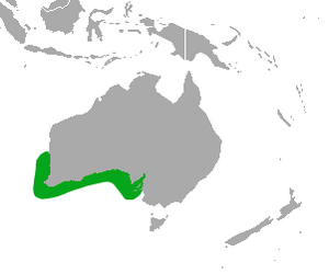 Australian Sea Lion area.png