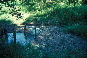 BOONSLICK STATE PARK