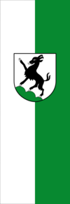 Flag of Kitzbühel