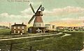 Barking Wellington 1907