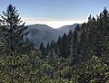Big Basin Redwoods State Park, Santa Cruz, United States 15012017 021836 0000 (cropped)