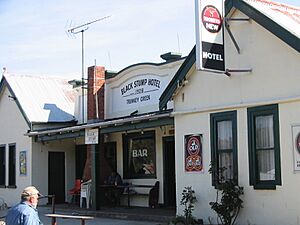 Black Stump Hotel - Trunkey Creek