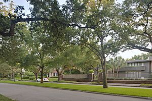 Boulevard Oaks District