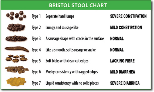 Bristol stool scale Facts for Kids