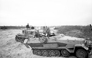 Bundesarchiv Bild 101I-088-3710-13, Russland, Schützenpanzer und Panzer