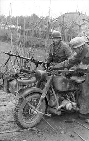 Bundesarchiv Bild 101I-576-1848-31, Italien, Fallschirmjäger mit Beiwagen-Krad und MG 34
