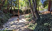 Burlingame Creek at Heritage Park