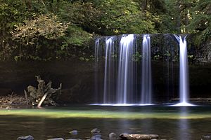 Butte Creek Falls
