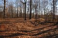 CANNON BRANCH FORT, PRINCE WILLIAM COUNTY, VA