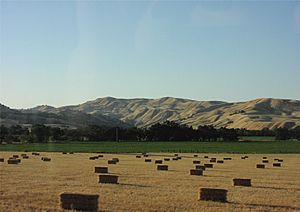 Capay Valley CA Fields 1