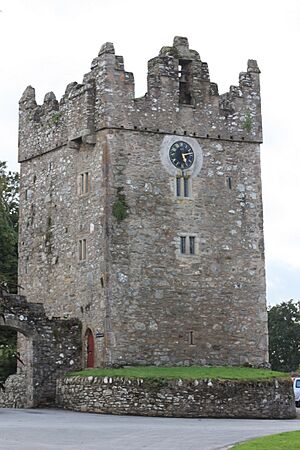 Castle Ward Castle, August 2009
