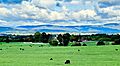 Cedar Creek and Belle Grove National Historical Park - October 2023 - 2