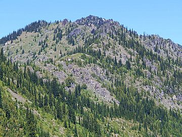 Chinook Peak from Chinook Pass.jpg