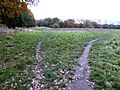 Coalville Meadows 1