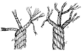 Constriction of rope
