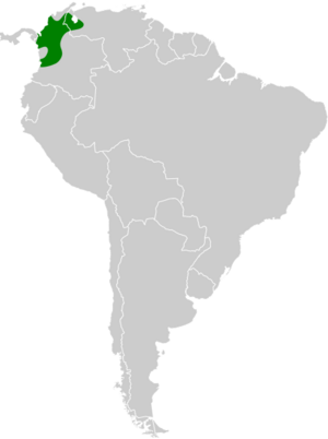 Corapipo leucorrhoa map.svg