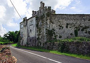 Croom Castle, County Limerick - geograph-3037502