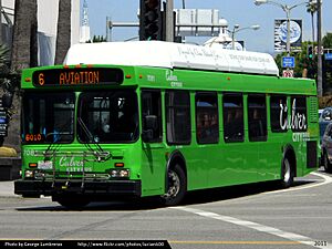 Culver City Bus New Flyer C40LF 7081