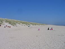 Curracloe dunes and beach along Wexford Bay - geograph.org.uk - 1873873