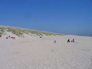 Curracloe dunes and beach along Wexford Bay - geograph.org.uk - 1873873