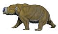 Diprotodon optatum (2)